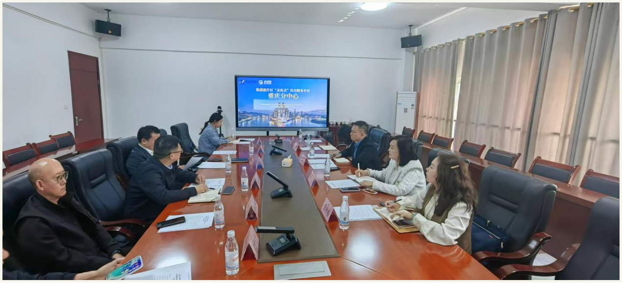 政企联动强赋能    精准服务促出海 临港新片区“走出去”综合服务平台重庆分中心潼南联络处工作座谈会成功召开