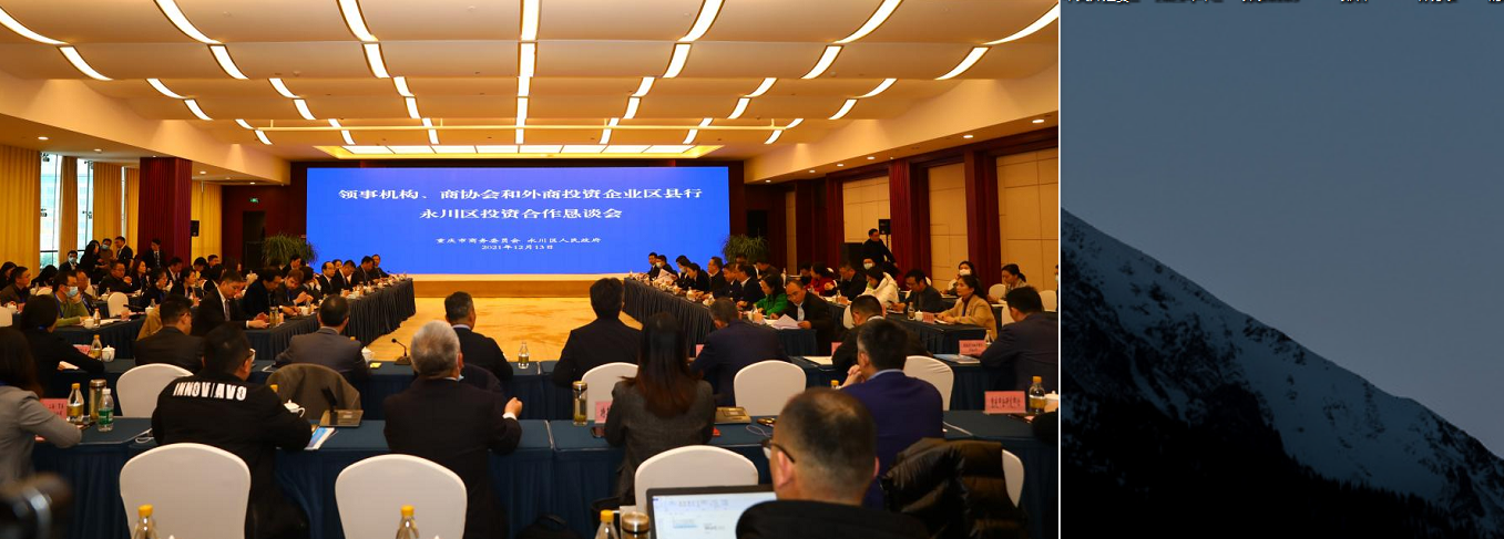 领事机构、商协会和外商投资企业区县行活动在永川区成功举行